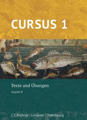 Boberg / Bode / Fritsch |  Cursus B 1 – neu | Buch |  Sack Fachmedien