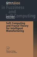 Castillo / Melin |  Melin, P: Soft Computing and Fractal Theory for Intelligent | Buch |  Sack Fachmedien