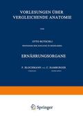 Hamburger / Blochmann |  Vorlesungen über Vergleichende Anatomie | Buch |  Sack Fachmedien