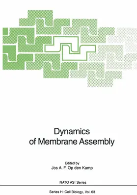 Kamp | Dynamics of Membrane Assembly | Buch | 978-3-662-02862-9 | www.sack.de