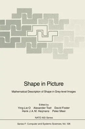 O / Toet / Foster | Shape in Picture | E-Book | www.sack.de