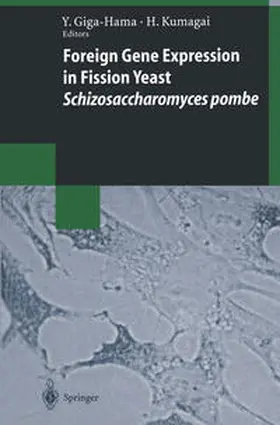 Giga-Hama / Kumagai |  Foreign Gene Expression in Fission Yeast: Schizosaccharomyces pombe | eBook | Sack Fachmedien