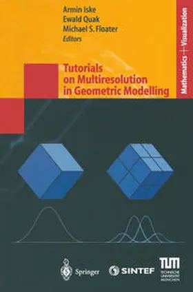 Iske / Quak / Floater |  Tutorials on Multiresolution in Geometric Modelling | eBook | Sack Fachmedien