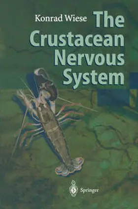 Wiese | The Crustacean Nervous System | E-Book | www.sack.de
