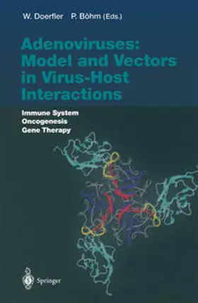 Doerfler / Böhm | Adenoviruses: Model and Vectors in Virus-Host Interactions | E-Book | sack.de