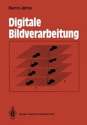 Jähne |  Digitale Bildverarbeitung | eBook | Sack Fachmedien
