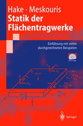 Hake / Meskouris |  Statik der Flächentragwerke | eBook | Sack Fachmedien