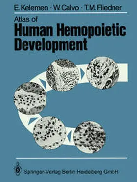 Kelemen / Calvo / Fliedner |  Atlas of Human Hemopoietic Development | eBook | Sack Fachmedien