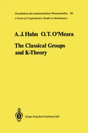 Hahn / O'Meara | The Classical Groups and K-Theory | E-Book | sack.de
