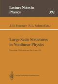 Sulem / Fournier |  Large Scale Structures in Nonlinear Physics | Buch |  Sack Fachmedien