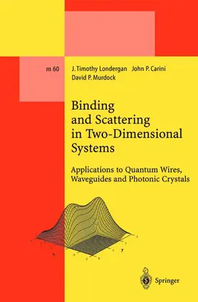 Londergan / Carini / Murdock |  Binding and Scattering in Two-Dimensional Systems | Buch |  Sack Fachmedien