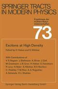 Nikitine / Haken |  Excitons at High Density | Buch |  Sack Fachmedien