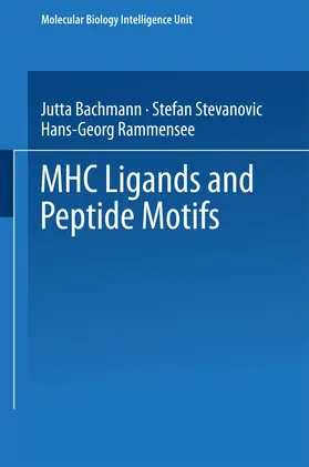 Rammensee / Stevanovic / Bachmann |  MHC Ligands and Peptide Motifs | Buch |  Sack Fachmedien