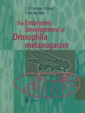 Campos-Ortega / Hartenstein |  The Embryonic Development of Drosophila melanogaster | Buch |  Sack Fachmedien
