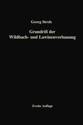 Strele |  Grundriß der Wildbach- und Lawinenverbauung | Buch |  Sack Fachmedien