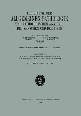 Hoppe / Posselt / Standenath | Ergebnisse der Allgemeinen Pathologie und Pathologischen Anatomie des Menschen und der Tiere | Buch | 978-3-662-31711-2 | sack.de