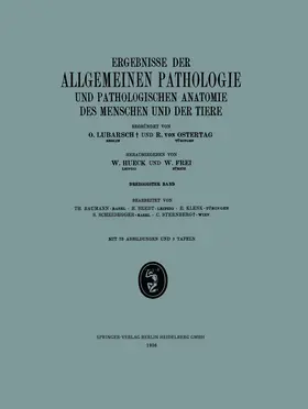 Baumann / Brendt / Sternberg |  Ergebnisse der Allgemeinen Pathologie und Pathologischen Anatomie des Menschen und der Tiere | Buch |  Sack Fachmedien