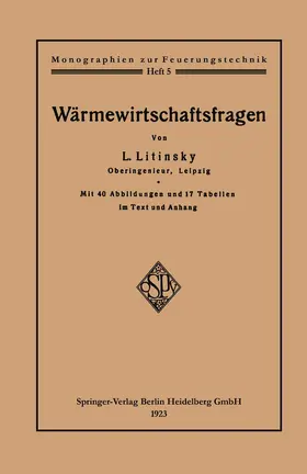 Litinsky |  Wärmewirtschaftsfragen | Buch |  Sack Fachmedien