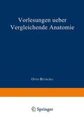 Bütschli |  Vorlesungen ueber vergleichende Anatomie | Buch |  Sack Fachmedien