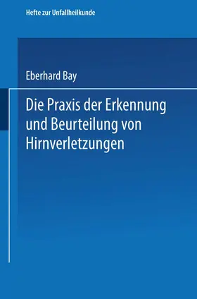 Bay |  Die Praxis der Erkennung und Beurteilung von Hirnverletzungen | Buch |  Sack Fachmedien