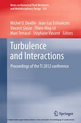 Deville / Estivalezes / Gleize |  Turbulence and Interactions | eBook | Sack Fachmedien