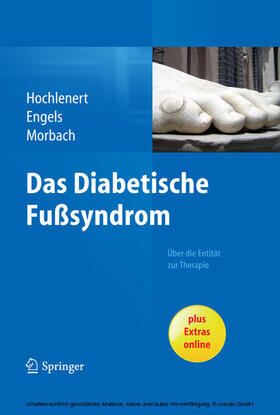 Hochlenert / Engels / Morbach | Das diabetische Fußsyndrom - Über die Entität zur Therapie | E-Book | sack.de