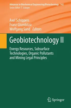 Schippers / Sand / Glombitza | Geobiotechnology II | Buch | 978-3-662-44473-3 | sack.de