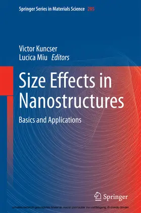 Kuncser / Miu | Size Effects in Nanostructures | E-Book | www.sack.de