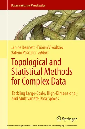 Bennett / Vivodtzev / Pascucci |  Topological and Statistical Methods for Complex Data | eBook | Sack Fachmedien