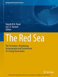 Rasul / Stewart |  The Red Sea | eBook | Sack Fachmedien