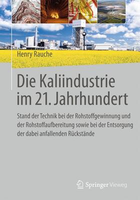 Rauche | Die Kaliindustrie im 21. Jahrhundert | Buch | 978-3-662-46833-3 | sack.de