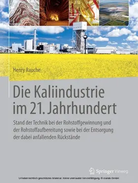 Rauche | Die Kaliindustrie im 21. Jahrhundert | E-Book | www.sack.de