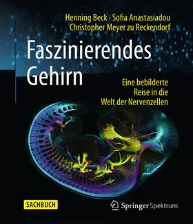 Beck / Anastasiadou / Meyer zu Reckendorf |  Faszinierendes Gehirn | eBook | Sack Fachmedien