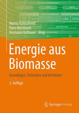 Kaltschmitt / Hartmann / Hofbauer | Energie aus Biomasse | Buch | 978-3-662-47437-2 | sack.de