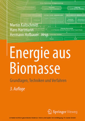 Kaltschmitt / Hartmann / Hofbauer |  Energie aus Biomasse | eBook | Sack Fachmedien