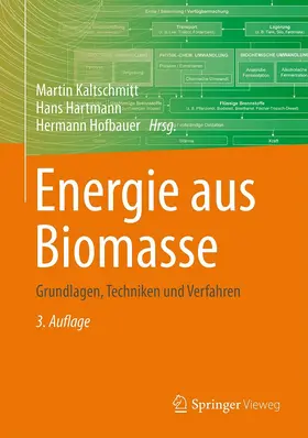 Kaltschmitt / Hartmann / Hofbauer |  Energie aus Biomasse | eBook | Sack Fachmedien