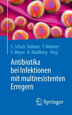 Schulz-Stübner / Mattner / Meyer | Antibiotika bei Infektionen mit multiresistenten Erregern | E-Book | www.sack.de