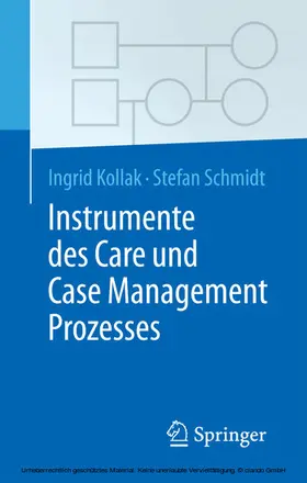 Kollak / Schmidt | Instrumente des Care und Case Management Prozesses | E-Book | sack.de