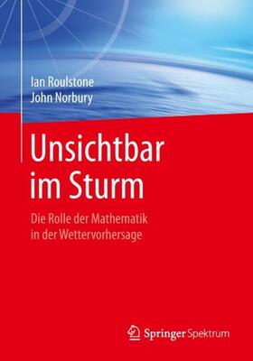 Roulstone / Norbury | Unsichtbar im Sturm | Buch | 978-3-662-48253-7 | sack.de