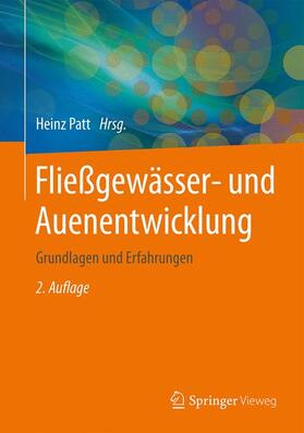 Patt | Fließgewässer- und Auenentwicklung | Buch | 978-3-662-48448-7 | sack.de