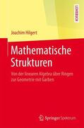 Hilgert |  Mathematische Strukturen | Buch |  Sack Fachmedien