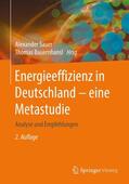 Sauer / Bauernhansl |  Energieeffizienz in Deutschland - eine Metastudie | Buch |  Sack Fachmedien