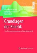 Hamann / Koch / Hoogestraat |  Grundlagen der Kinetik | Buch |  Sack Fachmedien