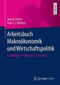 Perret / Welfens |  Arbeitsbuch Makroökonomik und Wirtschaftspolitik | Buch |  Sack Fachmedien