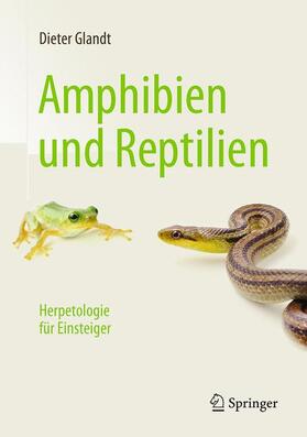 Glandt | Amphibien und Reptilien | Buch | 978-3-662-49726-5 | sack.de