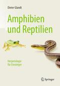 Glandt |  Amphibien und Reptilien | Buch |  Sack Fachmedien