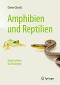 Glandt |  Amphibien und Reptilien | eBook | Sack Fachmedien
