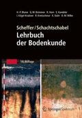 Blume / Brümmer / Horn |  Scheffer/Schachtschabel: Lehrbuch der Bodenkunde | Buch |  Sack Fachmedien