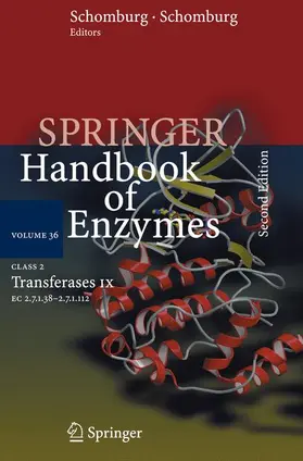 Schomburg |  Class 2 . Transferases IX | Buch |  Sack Fachmedien