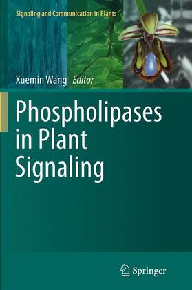 Wang | Phospholipases in Plant Signaling | Buch | 978-3-662-51029-2 | sack.de